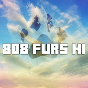 Team Page: 808 Furs
